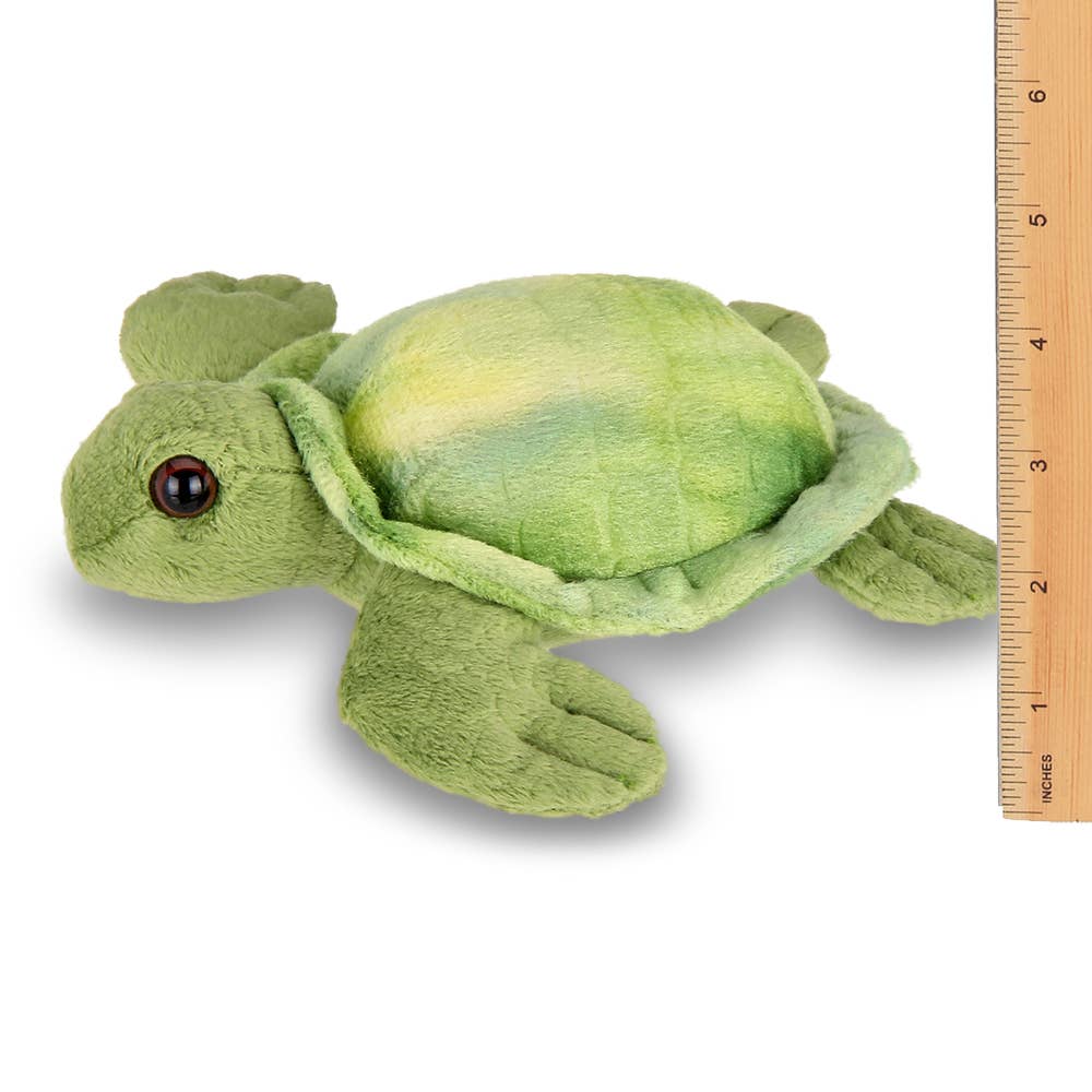Lil' Shelton the Sea Turtle