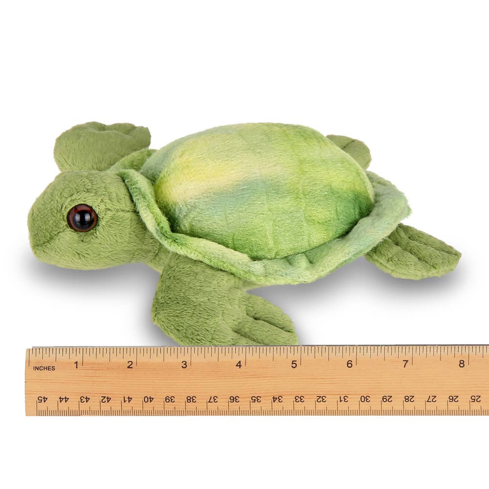 Lil' Shelton the Sea Turtle