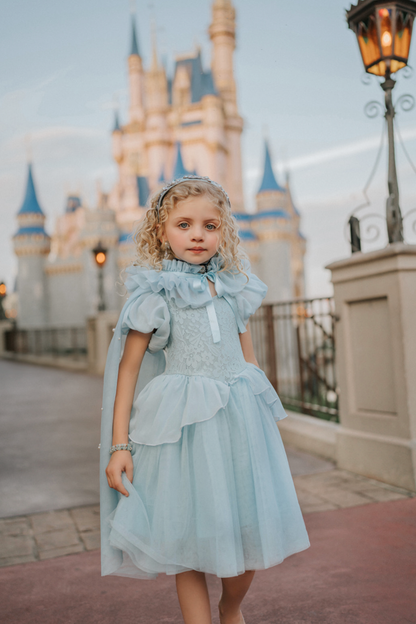 Portrait Petite Cinderella Twirl Dress