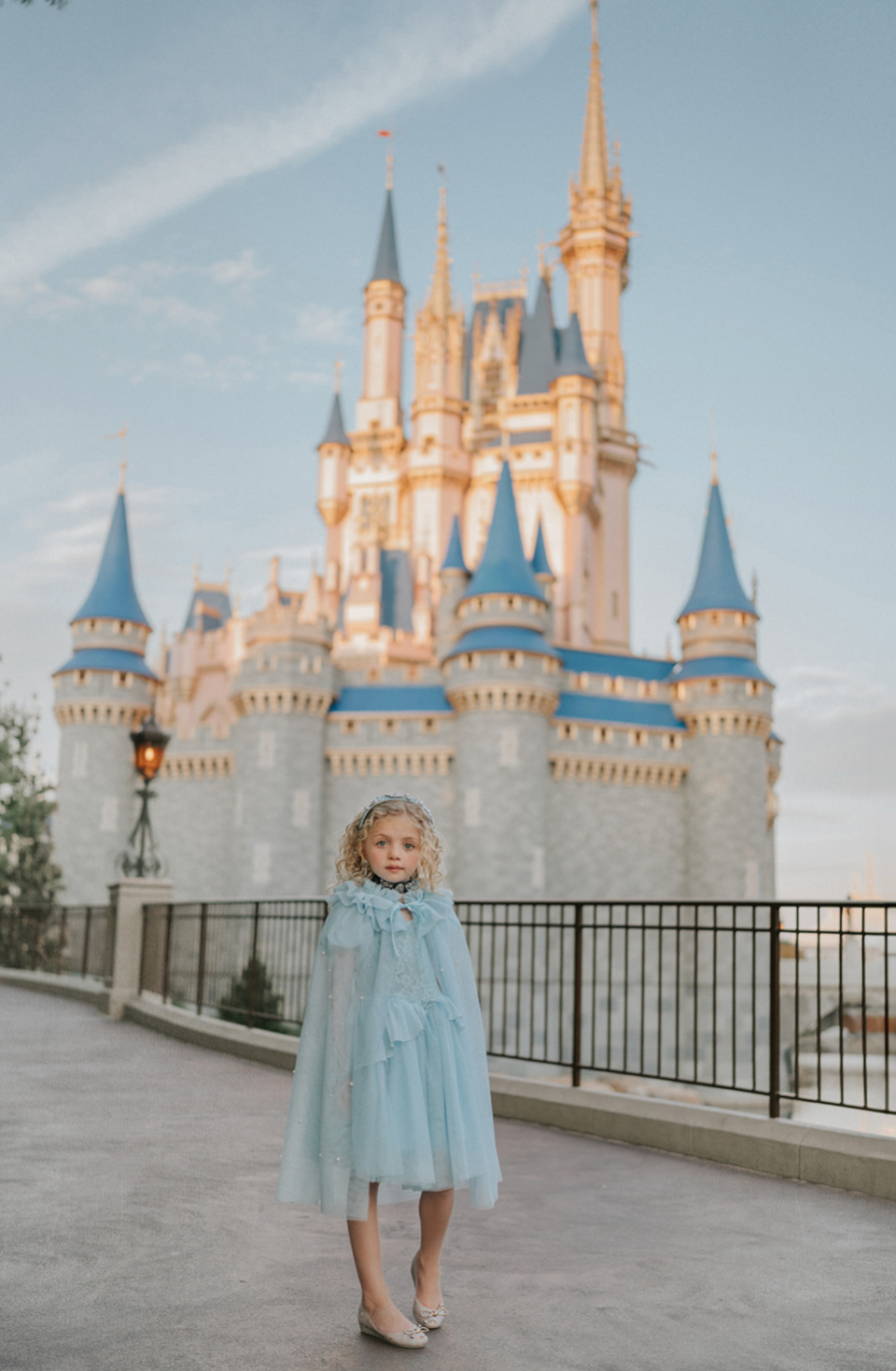 Portrait Petite Cinderella Twirl Dress