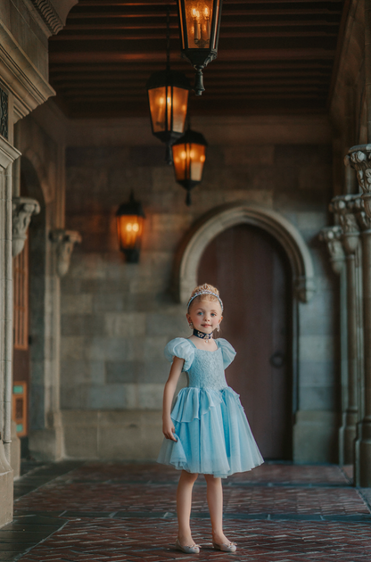 Portrait Petite Cinderella Twirl Dress