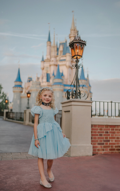 Portrait Petite Cinderella Twirl Dress