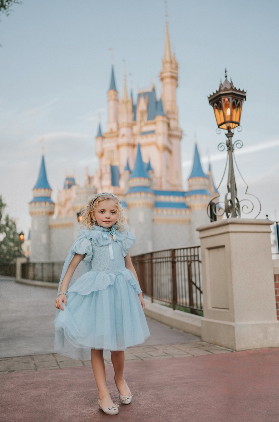 Portrait Petite Cinderella Twirl Dress