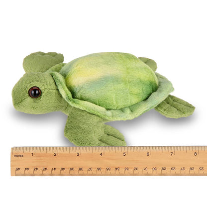 Lil' Shelton the Sea Turtle